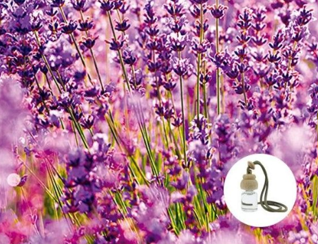 AMBIENTADOR COCHE LAVANDA